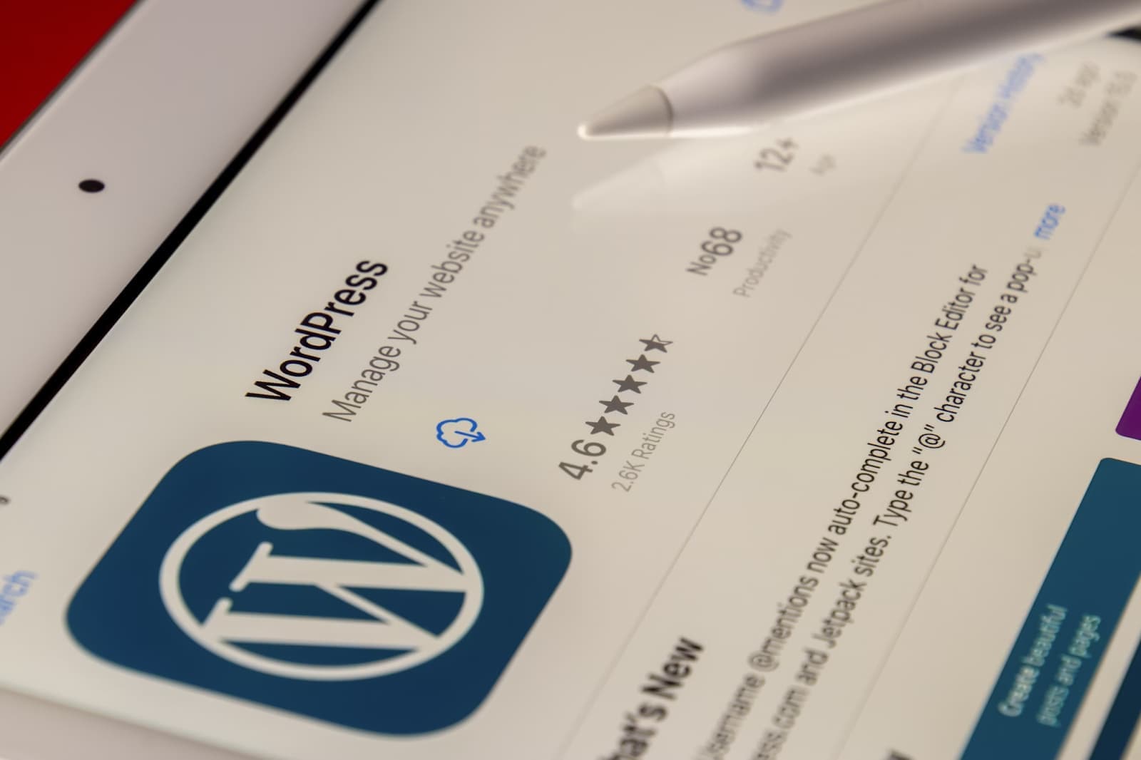 wordpress web development